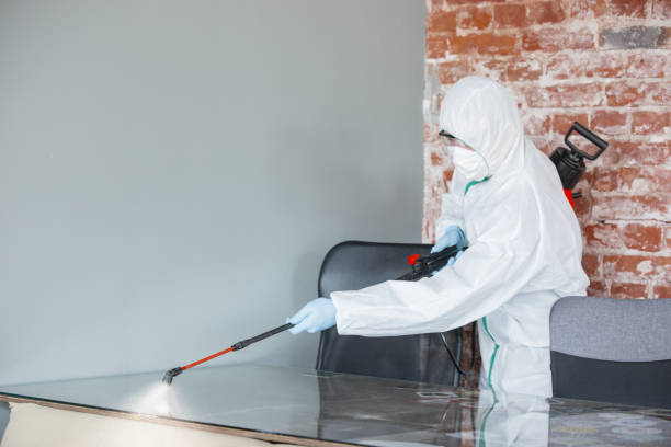 Best Environmental Consulting for Mold Prevention in Jonesboro, IL